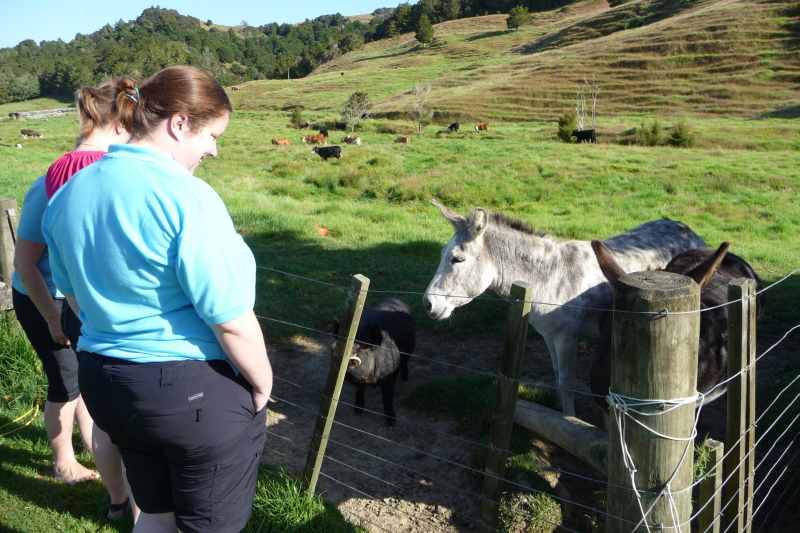 Nieuw-Zeeland 2011 - 0298